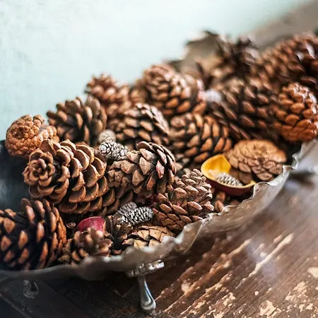 Apartmán Awesome Three Bedroom In *